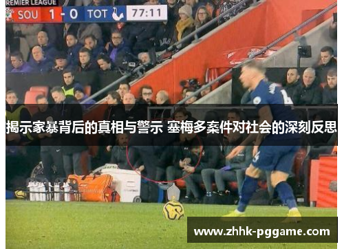 揭示家暴背后的真相与警示 塞梅多案件对社会的深刻反思