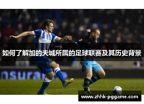 如何了解加的夫城所属的足球联赛及其历史背景