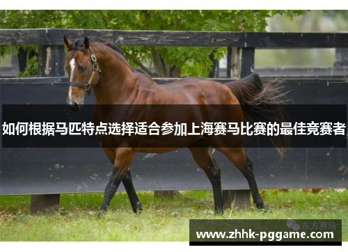 如何根据马匹特点选择适合参加上海赛马比赛的最佳竞赛者